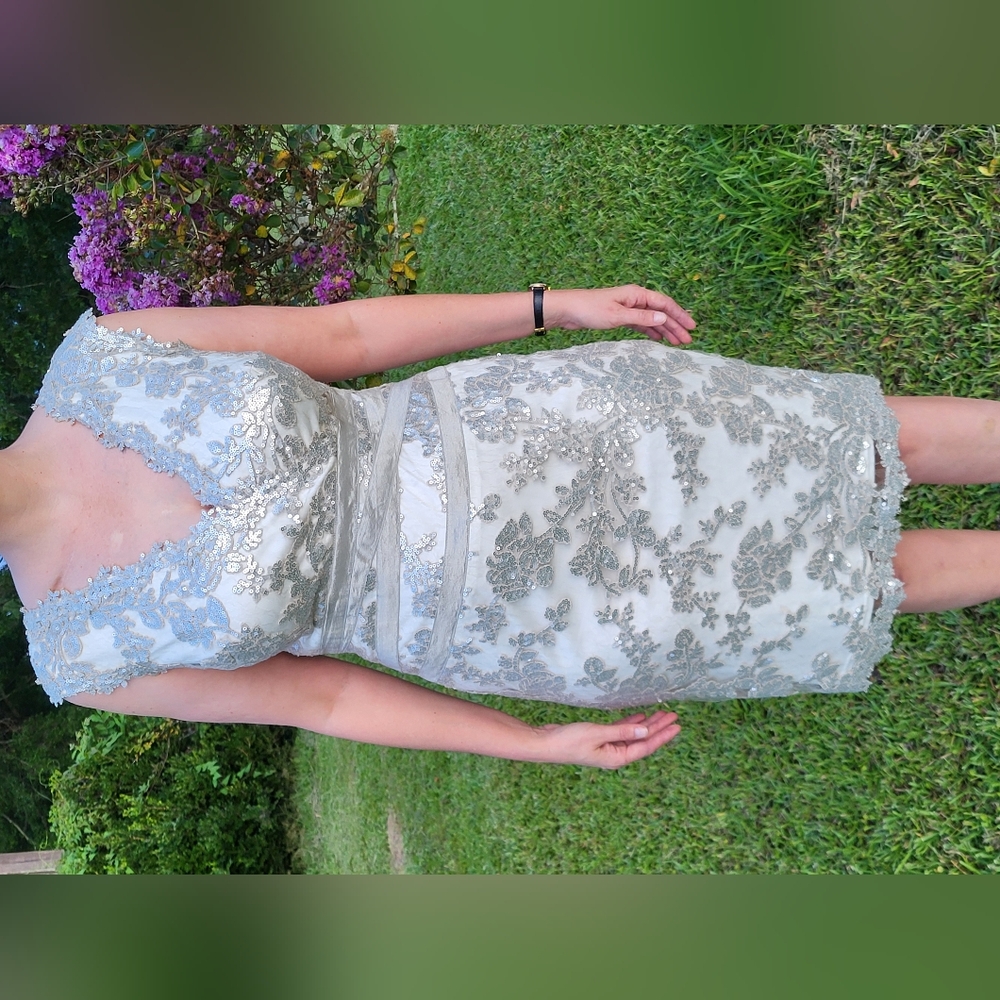 Tadashi Shoji Silver and Cream Sheath Dress Sz. 14